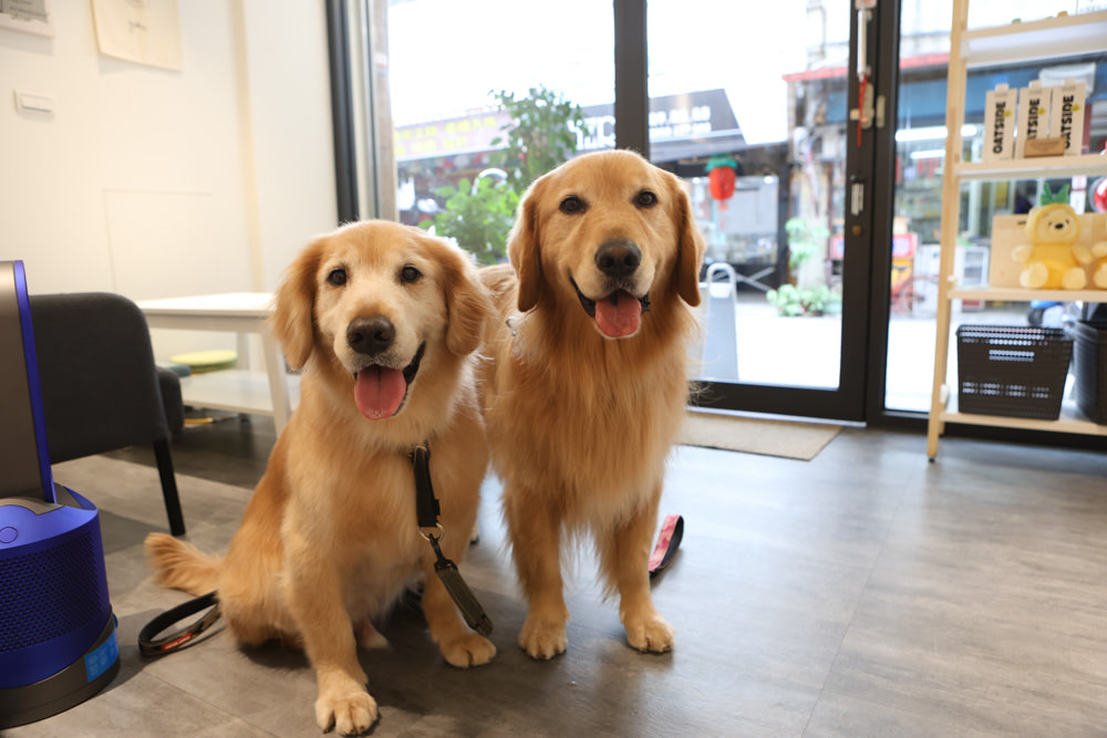 宜蘭羅東美食｜白旨咖啡。寵物友善餐廳、早午餐、羅東夜市附近、純白系質感咖啡廳！！
