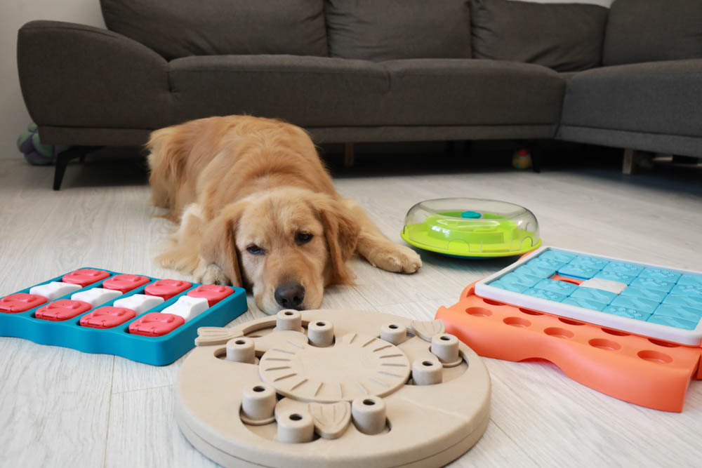 團購|Nina Ottosson瑞典寵物益智玩具。讓毛小孩動腦動手、消耗精力、減少分離焦慮症、雨天必備 - 第3張圖 團購|Nina Ottosson瑞典寵物益智玩具。讓毛小孩動腦動手、消耗精力、減少分離焦慮症、雨天必備