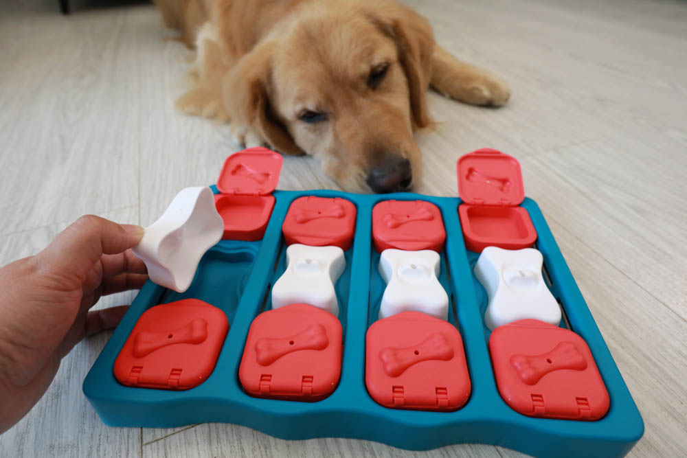 團購|Nina Ottosson瑞典寵物益智玩具。讓毛小孩動腦動手、消耗精力、減少分離焦慮症、雨天必備 - 第19張圖 團購|Nina Ottosson瑞典寵物益智玩具。讓毛小孩動腦動手、消耗精力、減少分離焦慮症、雨天必備