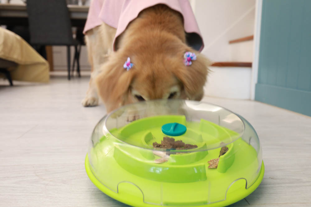 團購|Nina Ottosson瑞典寵物益智玩具。讓毛小孩動腦動手、消耗精力、減少分離焦慮症、雨天必備 - 第6張圖 團購|Nina Ottosson瑞典寵物益智玩具。讓毛小孩動腦動手、消耗精力、減少分離焦慮症、雨天必備