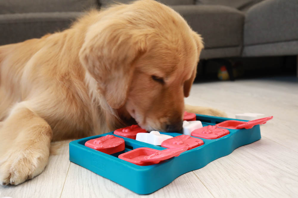 團購|Nina Ottosson瑞典寵物益智玩具。讓毛小孩動腦動手、消耗精力、減少分離焦慮症、雨天必備 - 第25張圖 團購|Nina Ottosson瑞典寵物益智玩具。讓毛小孩動腦動手、消耗精力、減少分離焦慮症、雨天必備