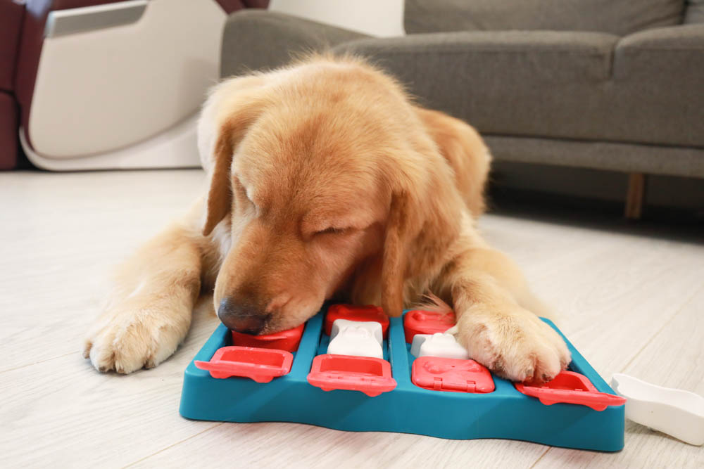 團購|Nina Ottosson瑞典寵物益智玩具。讓毛小孩動腦動手、消耗精力、減少分離焦慮症、雨天必備 - 第22張圖 團購|Nina Ottosson瑞典寵物益智玩具。讓毛小孩動腦動手、消耗精力、減少分離焦慮症、雨天必備