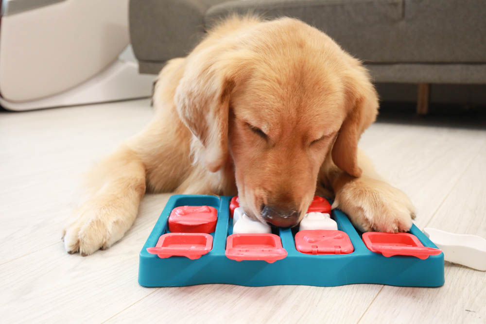 團購|Nina Ottosson瑞典寵物益智玩具。讓毛小孩動腦動手、消耗精力、減少分離焦慮症、雨天必備 - 第24張圖 團購|Nina Ottosson瑞典寵物益智玩具。讓毛小孩動腦動手、消耗精力、減少分離焦慮症、雨天必備