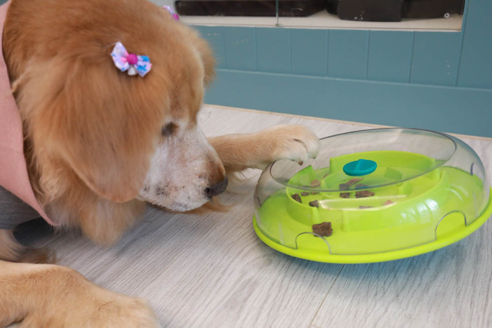 團購|Nina Ottosson瑞典寵物益智玩具。讓毛小孩動腦動手、消耗精力、減少分離焦慮症、雨天必備 - 第13張圖 團購|Nina Ottosson瑞典寵物益智玩具。讓毛小孩動腦動手、消耗精力、減少分離焦慮症、雨天必備