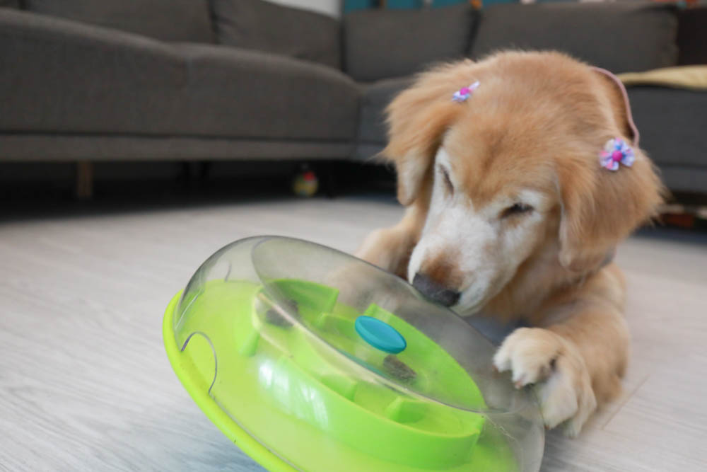 團購|Nina Ottosson瑞典寵物益智玩具。讓毛小孩動腦動手、消耗精力、減少分離焦慮症、雨天必備 - 第15張圖 團購|Nina Ottosson瑞典寵物益智玩具。讓毛小孩動腦動手、消耗精力、減少分離焦慮症、雨天必備