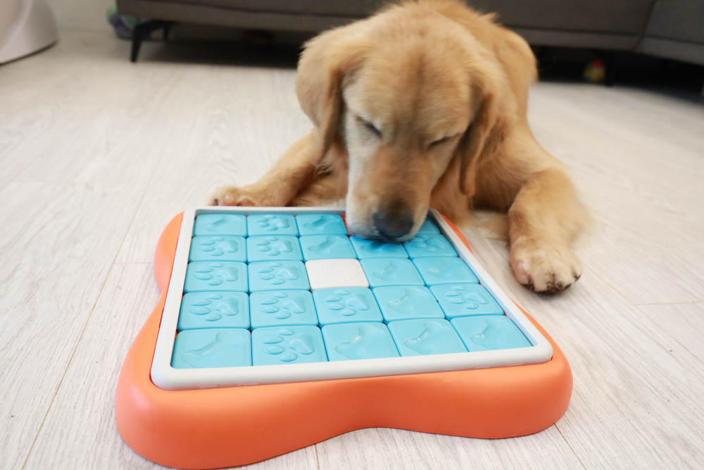 團購|Nina Ottosson瑞典寵物益智玩具。讓毛小孩動腦動手、消耗精力、減少分離焦慮症、雨天必備 - 第31張圖 團購|Nina Ottosson瑞典寵物益智玩具。讓毛小孩動腦動手、消耗精力、減少分離焦慮症、雨天必備