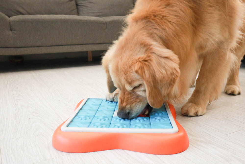 團購|Nina Ottosson瑞典寵物益智玩具。讓毛小孩動腦動手、消耗精力、減少分離焦慮症、雨天必備 - 第32張圖 團購|Nina Ottosson瑞典寵物益智玩具。讓毛小孩動腦動手、消耗精力、減少分離焦慮症、雨天必備