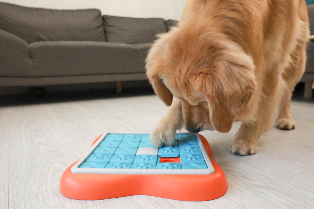 團購|Nina Ottosson瑞典寵物益智玩具。讓毛小孩動腦動手、消耗精力、減少分離焦慮症、雨天必備 - 第33張圖 團購|Nina Ottosson瑞典寵物益智玩具。讓毛小孩動腦動手、消耗精力、減少分離焦慮症、雨天必備