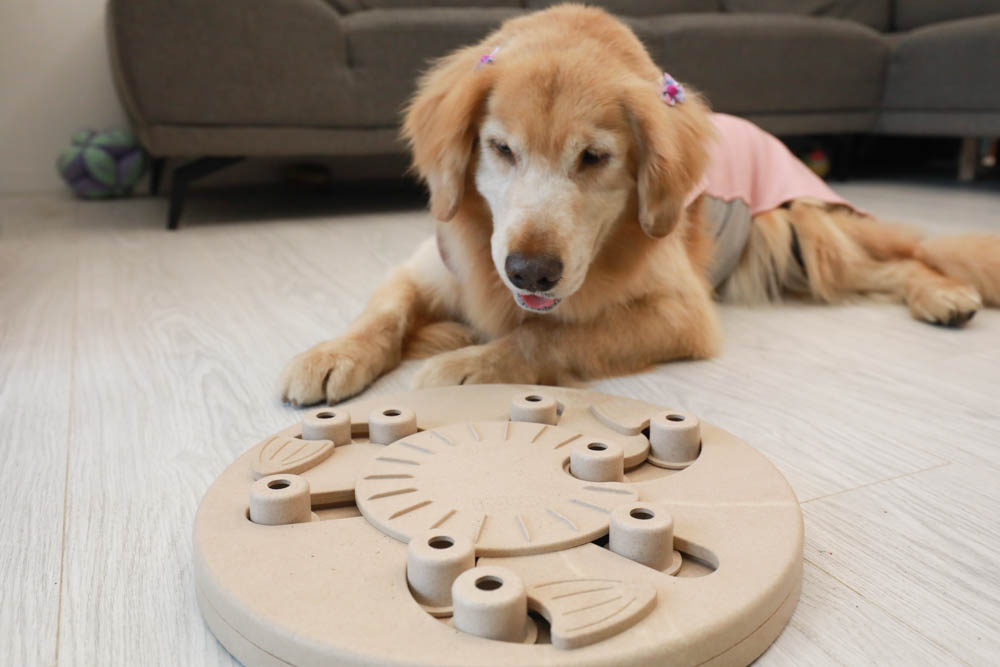 團購|Nina Ottosson瑞典寵物益智玩具。讓毛小孩動腦動手、消耗精力、減少分離焦慮症、雨天必備 - 第38張圖 團購|Nina Ottosson瑞典寵物益智玩具。讓毛小孩動腦動手、消耗精力、減少分離焦慮症、雨天必備