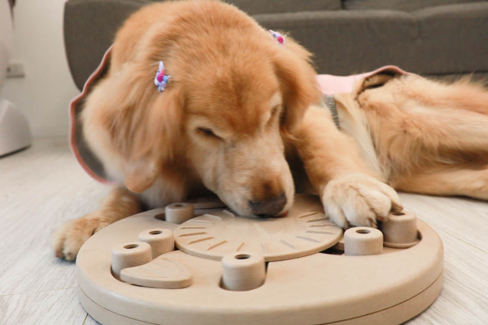 團購|Nina Ottosson瑞典寵物益智玩具。讓毛小孩動腦動手、消耗精力、減少分離焦慮症、雨天必備 - 第39張圖 團購|Nina Ottosson瑞典寵物益智玩具。讓毛小孩動腦動手、消耗精力、減少分離焦慮症、雨天必備