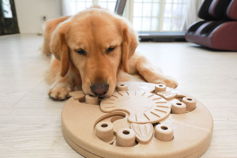 團購|Nina Ottosson瑞典寵物益智玩具。讓毛小孩動腦動手、消耗精力、減少分離焦慮症、雨天必備 - 第40張圖 團購|Nina Ottosson瑞典寵物益智玩具。讓毛小孩動腦動手、消耗精力、減少分離焦慮症、雨天必備