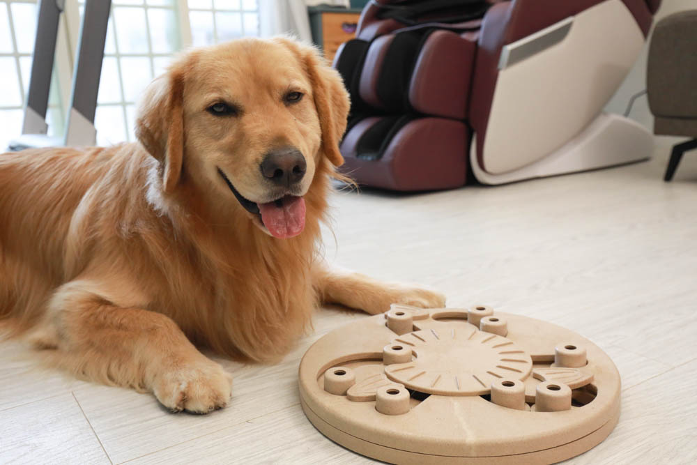 團購|Nina Ottosson瑞典寵物益智玩具。讓毛小孩動腦動手、消耗精力、減少分離焦慮症、雨天必備 - 第41張圖 團購|Nina Ottosson瑞典寵物益智玩具。讓毛小孩動腦動手、消耗精力、減少分離焦慮症、雨天必備