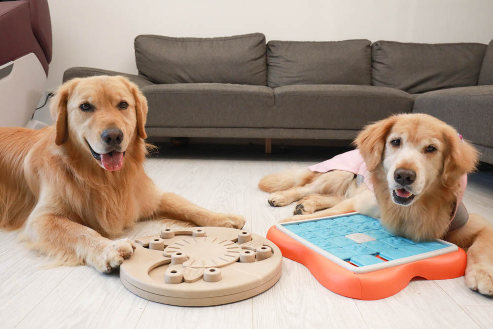 團購|Nina Ottosson瑞典寵物益智玩具。讓毛小孩動腦動手、消耗精力、減少分離焦慮症、雨天必備 - 第42張圖 團購|Nina Ottosson瑞典寵物益智玩具。讓毛小孩動腦動手、消耗精力、減少分離焦慮症、雨天必備