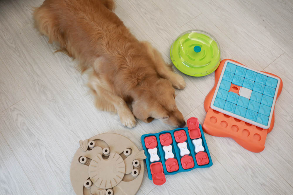 團購|Nina Ottosson瑞典寵物益智玩具。讓毛小孩動腦動手、消耗精力、減少分離焦慮症、雨天必備 - 第4張圖 團購|Nina Ottosson瑞典寵物益智玩具。讓毛小孩動腦動手、消耗精力、減少分離焦慮症、雨天必備