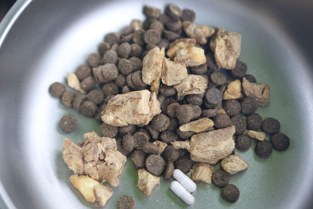 寵安適 精準寵物腸道微菌分析｜你家毛孩吃的益生菌真的適合嗎？犬貓腸道環境健康分析、寵物腸道好壞菌檢測