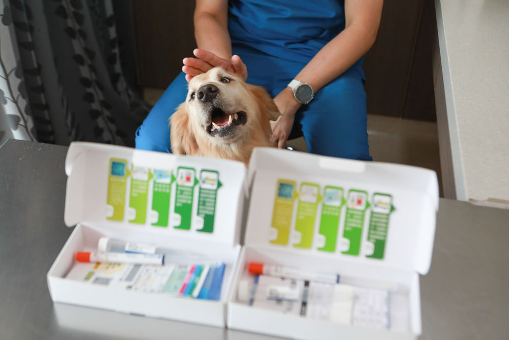 寵安適 精準寵物腸道微菌分析｜你家毛孩吃的益生菌真的適合嗎？犬貓腸道環境健康分析、寵物腸道好壞菌檢測