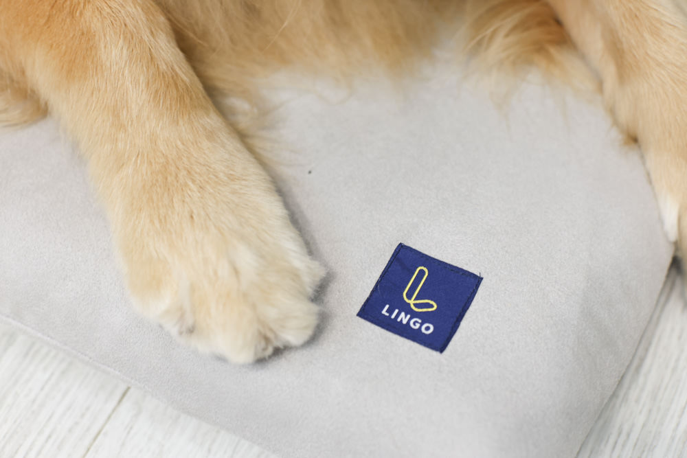 LINGO 3D透氣寵物床墊、LINGO鋁合金寵物碗架|台灣設計製造、寵物減壓睡墊、寵物餐碗推薦 - 第6張圖 LINGO 3D透氣寵物床墊、LINGO鋁合金寵物碗架|台灣設計製造、寵物減壓睡墊、寵物餐碗推薦