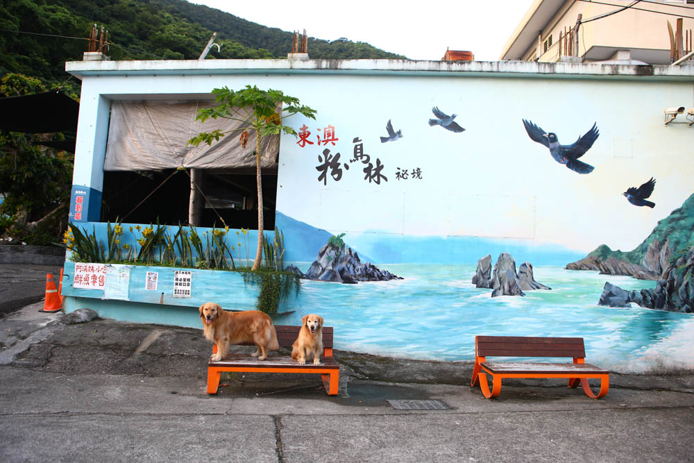 宜蘭東澳｜睡海邊民宿。東澳車站旁、近粉鳥林海灘、粉鳥林秘境、寵物友善