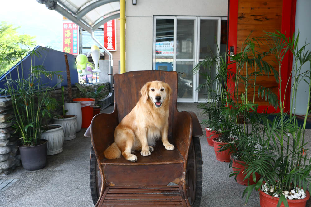 宜蘭東澳｜睡海邊民宿。東澳車站旁、近粉鳥林海灘、粉鳥林秘境、寵物友善