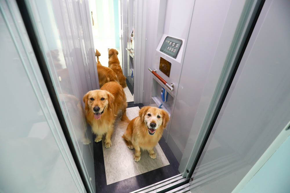 宜蘭東澳｜睡海邊民宿。東澳車站旁、近粉鳥林海灘、粉鳥林秘境、寵物友善