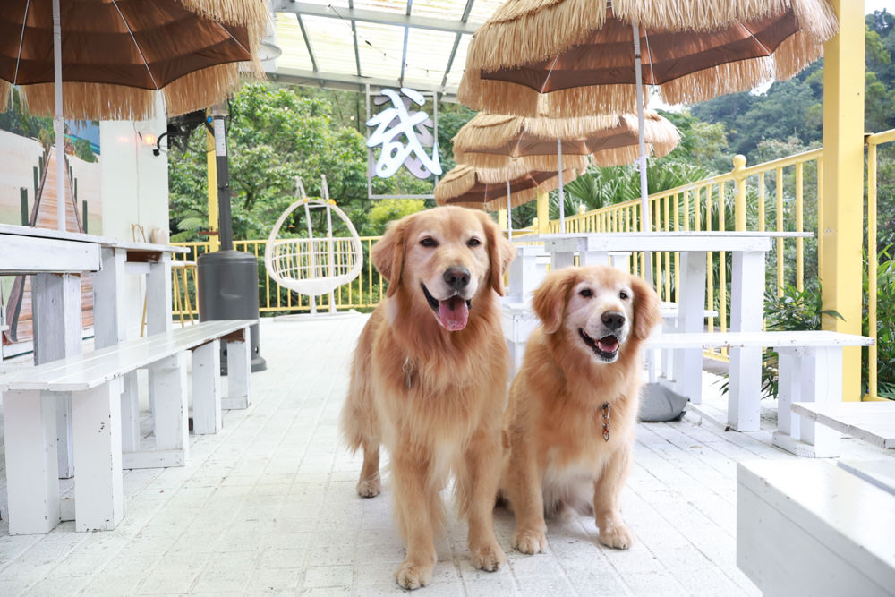 新北石碇美食｜武林逸亭。寵物友善餐廳、山林步道中的峇里島氛圍網美景觀餐廳、石碇景觀餐廳