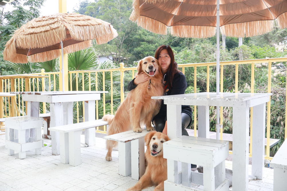 新北石碇美食｜武林逸亭。寵物友善餐廳、山林步道中的峇里島氛圍網美景觀餐廳、石碇景觀餐廳