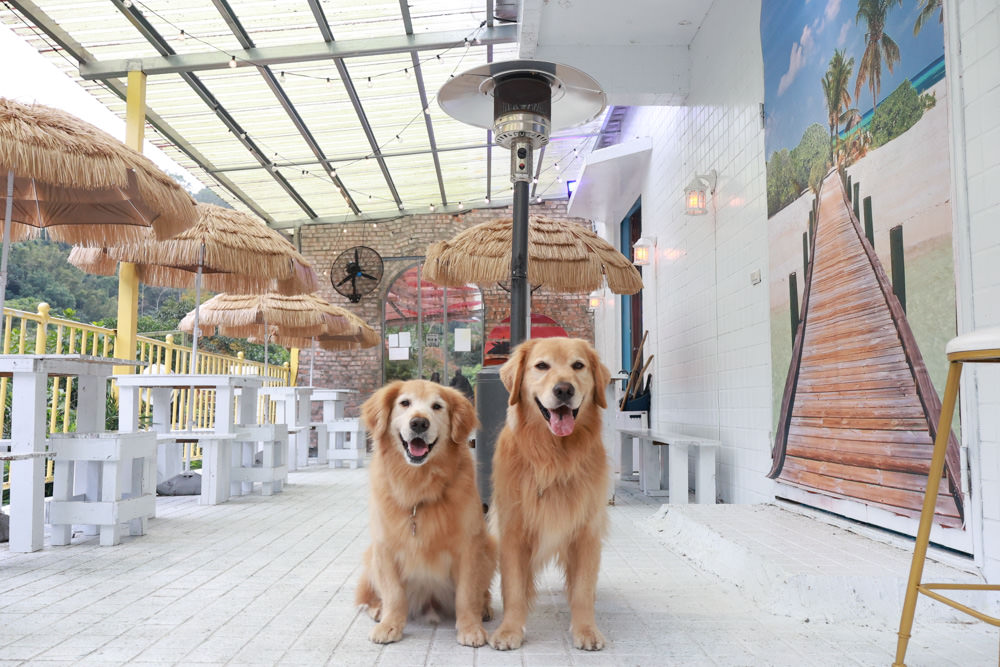 新北石碇美食｜武林逸亭。寵物友善餐廳、山林步道中的峇里島氛圍網美景觀餐廳、石碇景觀餐廳