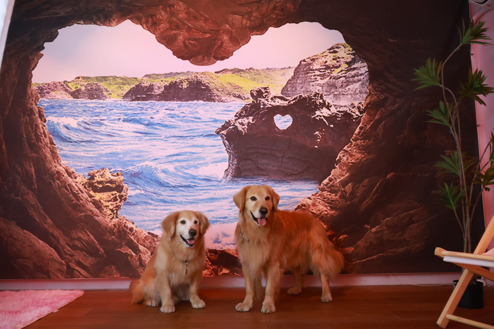 新北石碇美食｜武林逸亭。寵物友善餐廳、山林步道中的峇里島氛圍網美景觀餐廳、石碇景觀餐廳