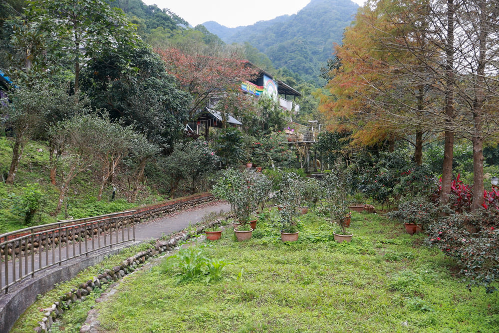 新北石碇美食｜武林逸亭。寵物友善餐廳、山林步道中的峇里島氛圍網美景觀餐廳、石碇景觀餐廳