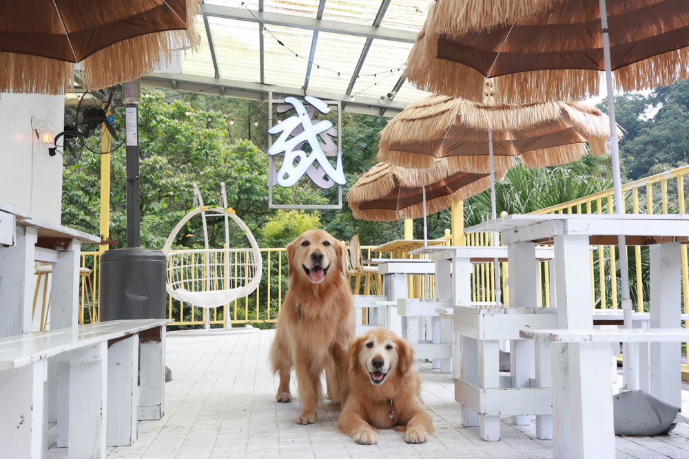 新北石碇美食｜武林逸亭。寵物友善餐廳、山林步道中的峇里島氛圍網美景觀餐廳、石碇景觀餐廳