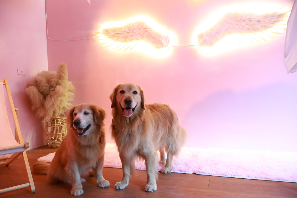 新北石碇美食｜武林逸亭。寵物友善餐廳、山林步道中的峇里島氛圍網美景觀餐廳、石碇景觀餐廳