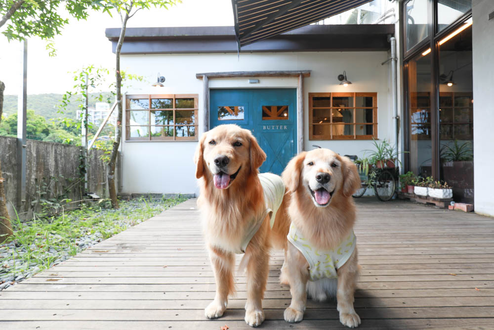 宜蘭礁溪美食｜奶油麵包礁溪旗艦店。歐風早午餐、寵物友善、烘焙鬆鬆奶油麵包必買！