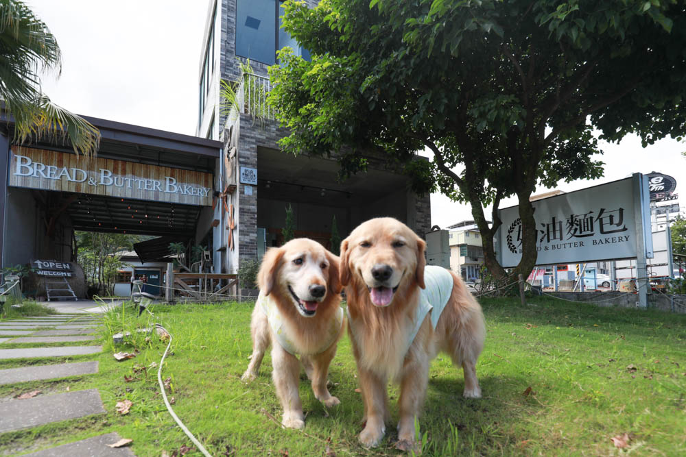 宜蘭礁溪美食｜奶油麵包礁溪旗艦店。歐風早午餐、寵物友善、烘焙鬆鬆奶油麵包必買！