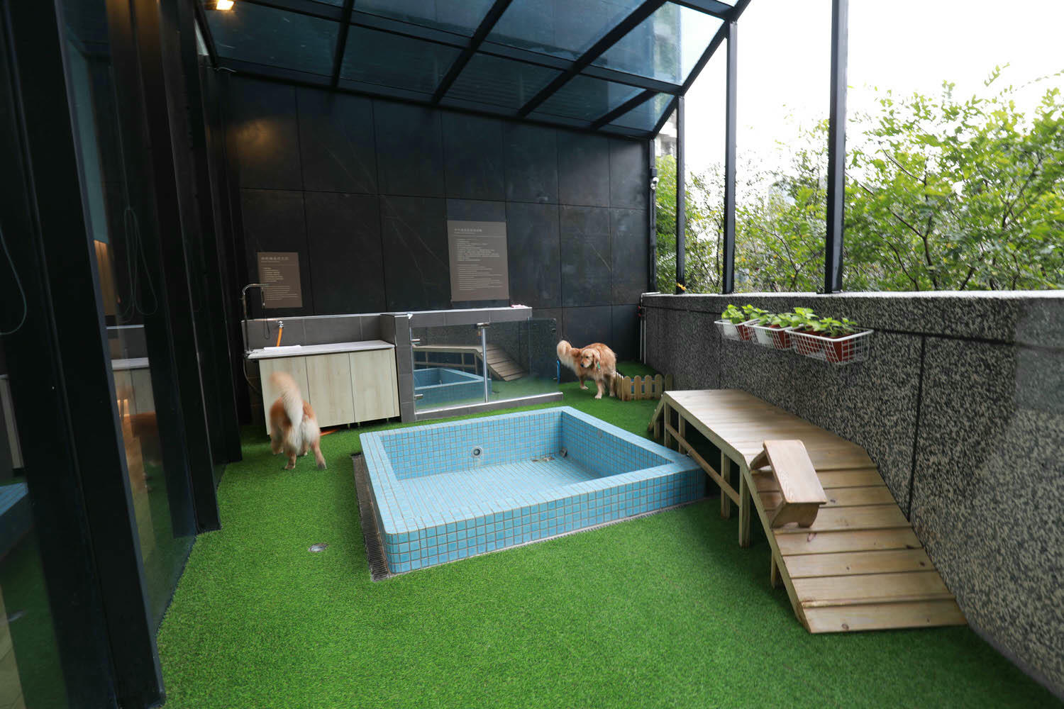 宜蘭礁溪溫泉飯店推薦｜礁溪寒沐酒店。宜蘭親子飯店首選、寵沐苑寵物旅館、滑水道泳池、兒童遊樂區、電競室、賽車道、溫泉SPA