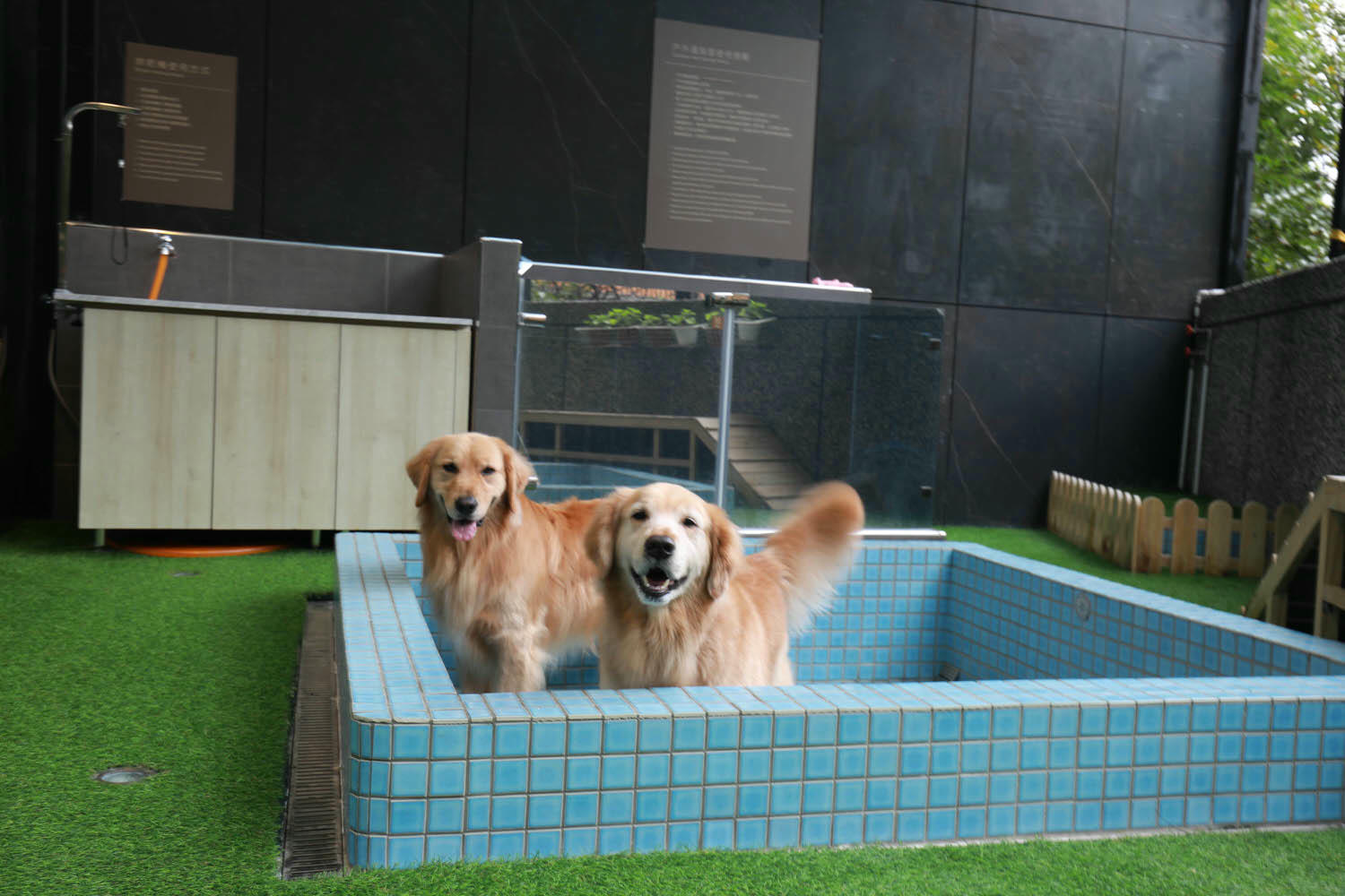 宜蘭礁溪溫泉飯店推薦｜礁溪寒沐酒店。宜蘭親子飯店首選、寵沐苑寵物旅館、滑水道泳池、兒童遊樂區、電競室、賽車道、溫泉SPA