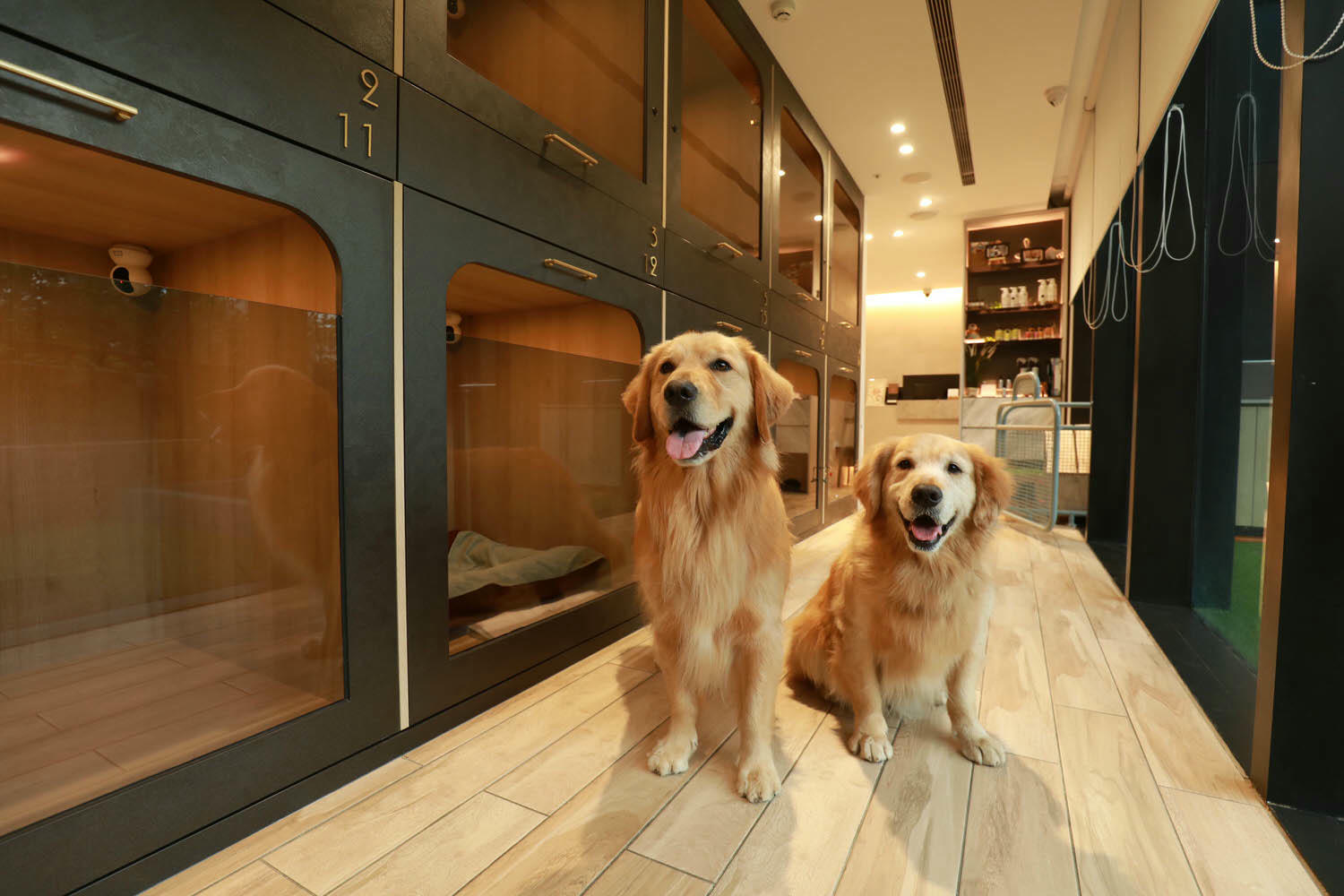 宜蘭礁溪溫泉飯店推薦｜礁溪寒沐酒店。宜蘭親子飯店首選、寵沐苑寵物旅館、滑水道泳池、兒童遊樂區、電競室、賽車道、溫泉SPA