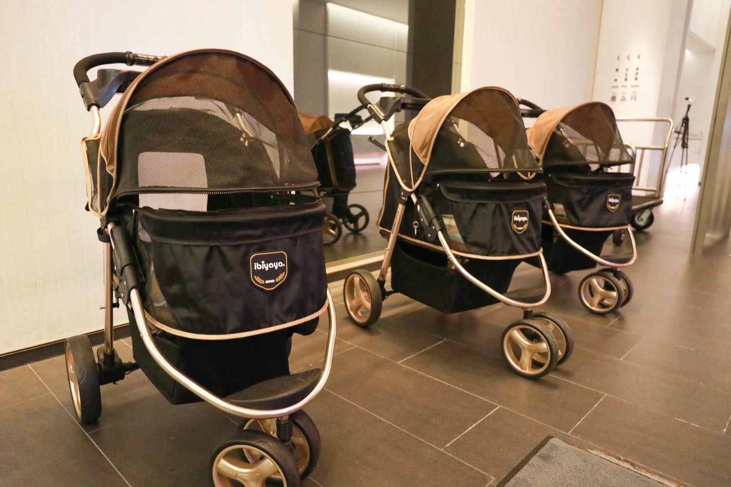 宜蘭礁溪溫泉飯店推薦｜礁溪寒沐酒店。宜蘭親子飯店首選、寵沐苑寵物旅館、滑水道泳池、兒童遊樂區、電競室、賽車道、溫泉SPA