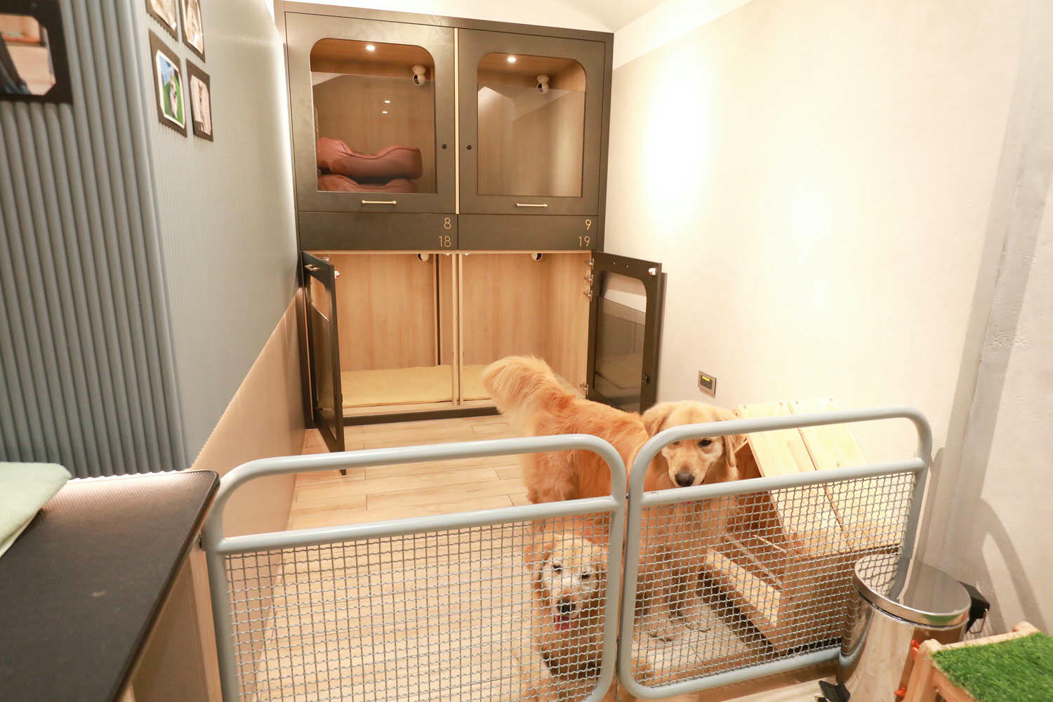 宜蘭礁溪溫泉飯店推薦｜礁溪寒沐酒店。宜蘭親子飯店首選、寵沐苑寵物旅館、滑水道泳池、兒童遊樂區、電競室、賽車道、溫泉SPA