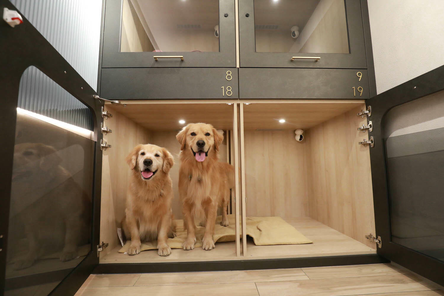 宜蘭礁溪溫泉飯店推薦｜礁溪寒沐酒店。宜蘭親子飯店首選、寵沐苑寵物旅館、滑水道泳池、兒童遊樂區、電競室、賽車道、溫泉SPA