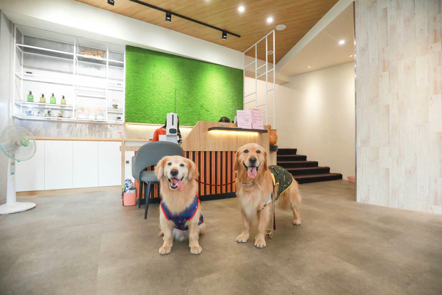 宜蘭礁溪｜礁溪帝王行旅。礁溪溫泉飯店、寵物友善飯店、距離礁溪火車站三分鐘、房間可以享受溫泉泡湯！