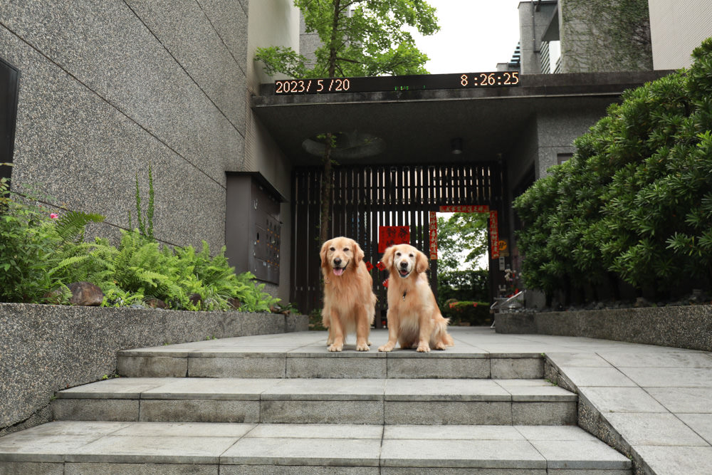 宜蘭礁溪。靜界溫泉會館。寵物友善民宿、日系風格獨棟Villa，可包棟，每間房間都有溫泉池可泡湯