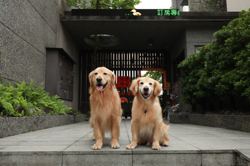 宜蘭礁溪。靜界溫泉會館。寵物友善民宿、日系風格獨棟Villa，可包棟，每間房間都有溫泉池可泡湯