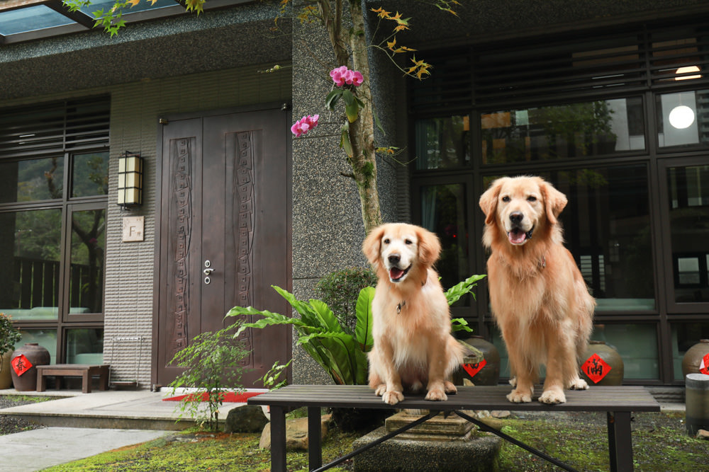 宜蘭礁溪。靜界溫泉會館。寵物友善民宿、日系風格獨棟Villa，可包棟，每間房間都有溫泉池可泡湯