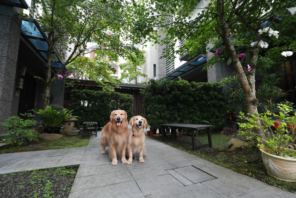 宜蘭礁溪。靜界溫泉會館。寵物友善民宿、日系風格獨棟Villa，可包棟，每間房間都有溫泉池可泡湯