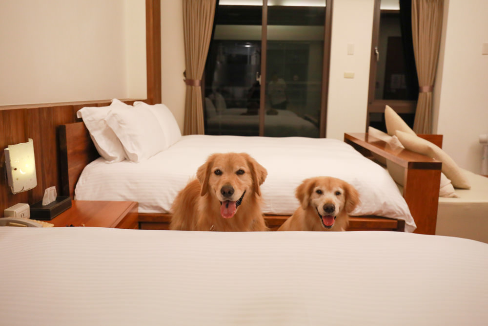 宜蘭礁溪。靜界溫泉會館。寵物友善民宿、日系風格獨棟Villa，可包棟，每間房間都有溫泉池可泡湯