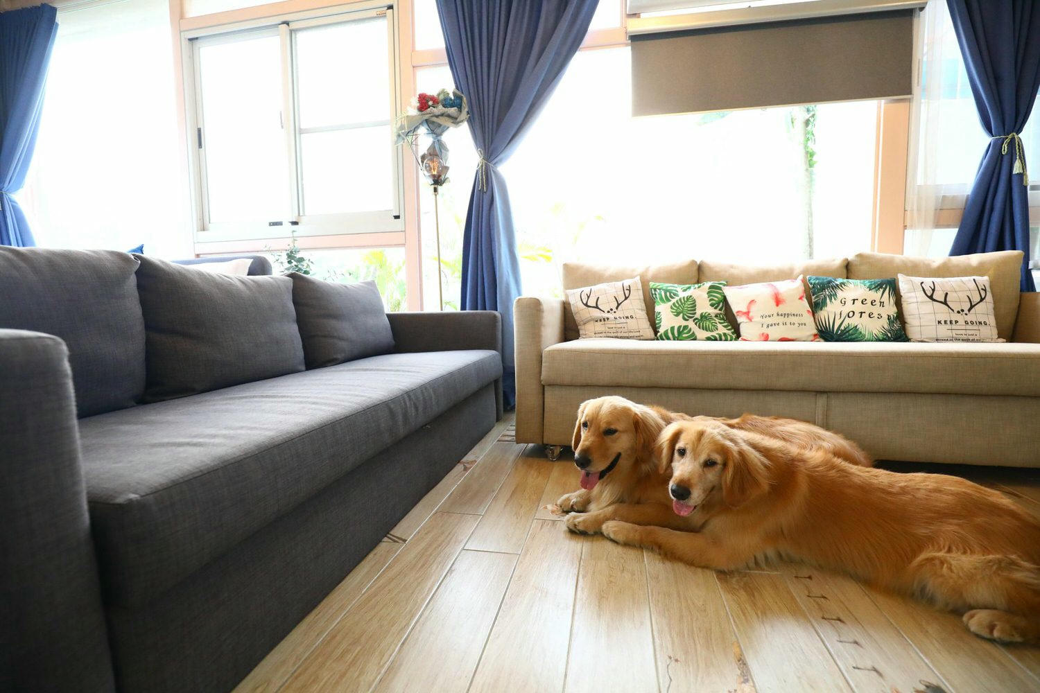 苗栗公館｜福村養生農場。高級精品民宿、森林中的絕美夢幻玻璃屋、一泊三食、寵物友善民宿