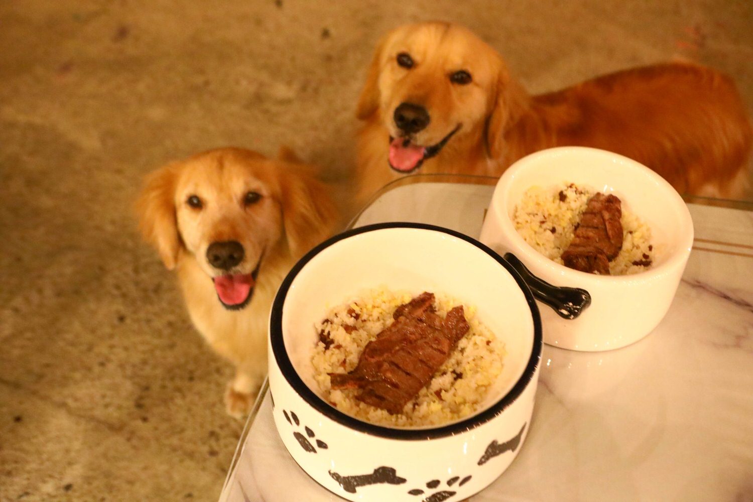 苗栗公館｜福村養生農場。高級精品民宿、森林中的絕美夢幻玻璃屋、一泊三食、寵物友善民宿