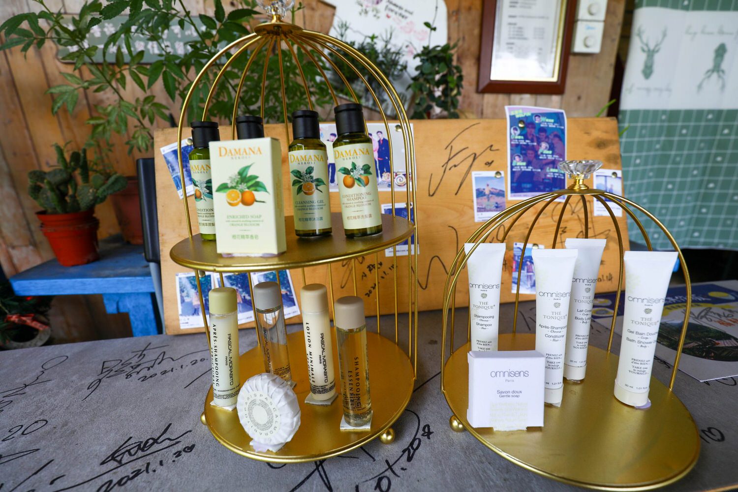 苗栗公館｜福村養生農場。高級精品民宿、森林中的絕美夢幻玻璃屋、一泊三食、寵物友善民宿