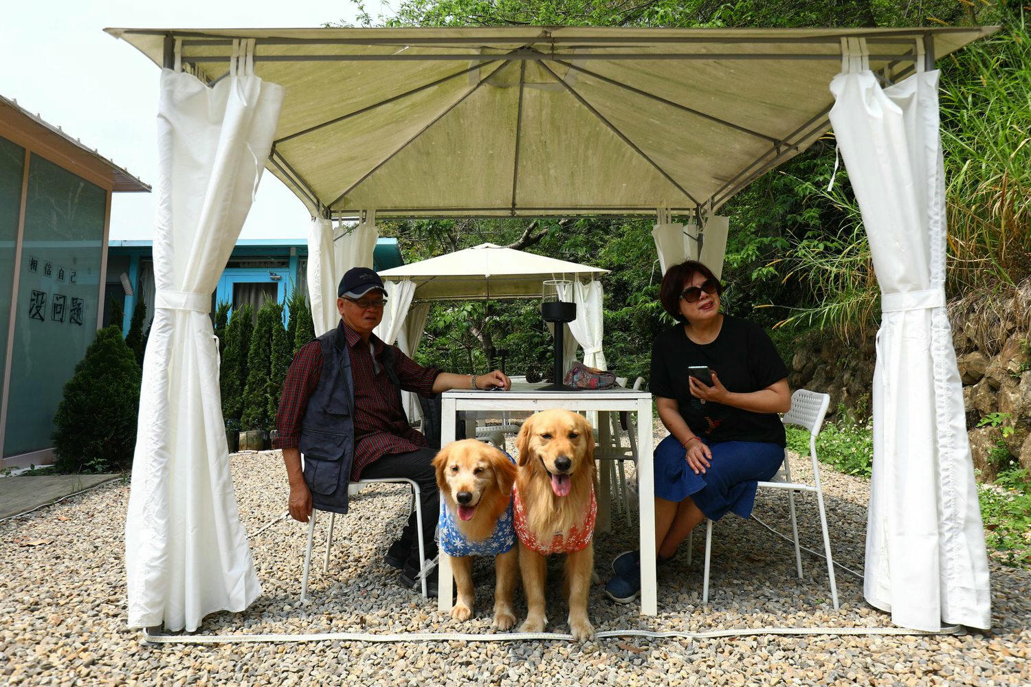 苗栗公館｜福村養生農場。高級精品民宿、森林中的絕美夢幻玻璃屋、一泊三食、寵物友善民宿