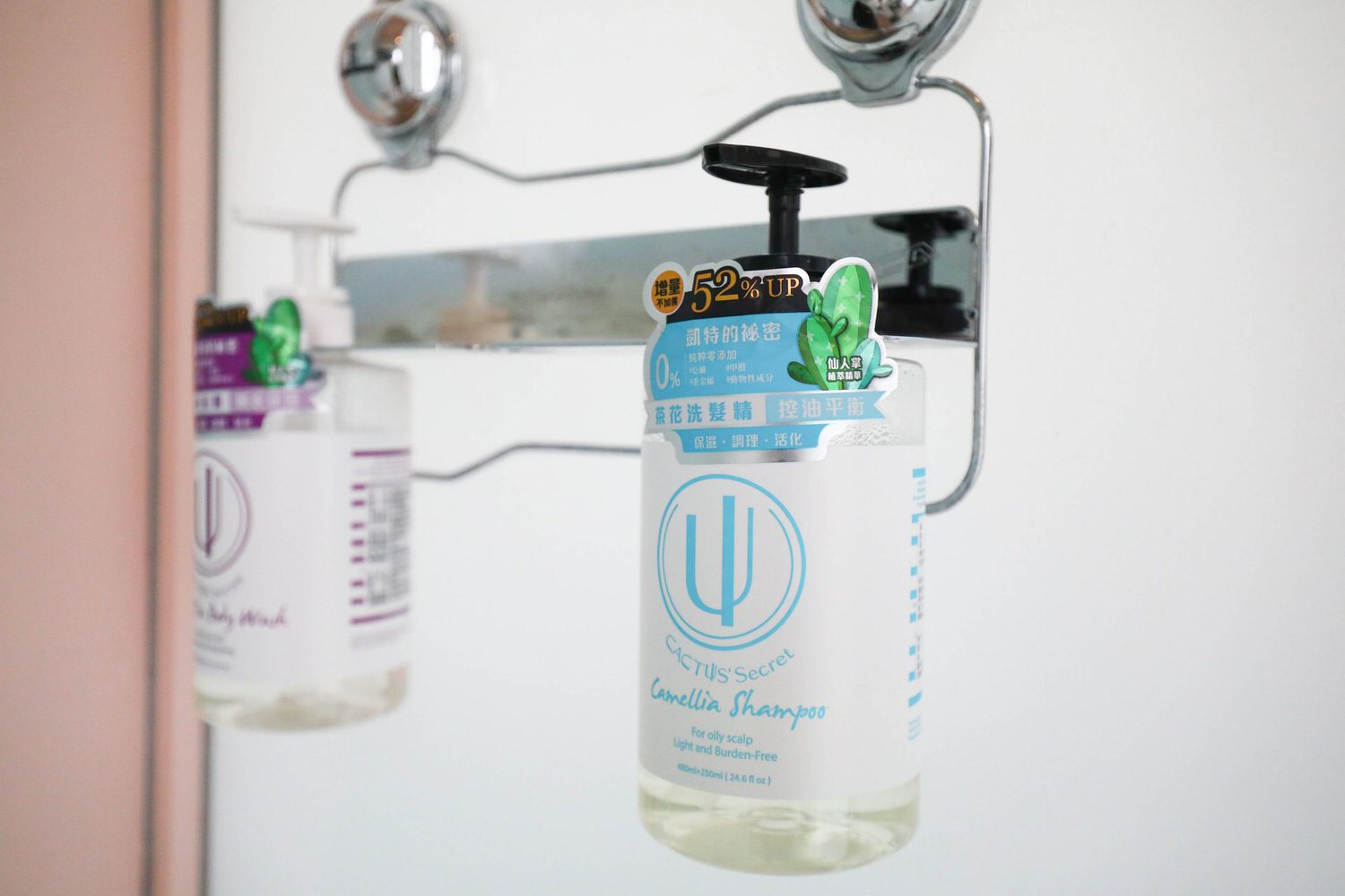 苗栗公館｜福村養生農場。高級精品民宿、森林中的絕美夢幻玻璃屋、一泊三食、寵物友善民宿